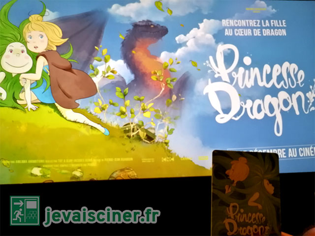 Princesse Dragon Carte Collector